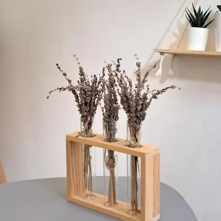Apartment Small And Functional Studio In A Charming - Benakey *